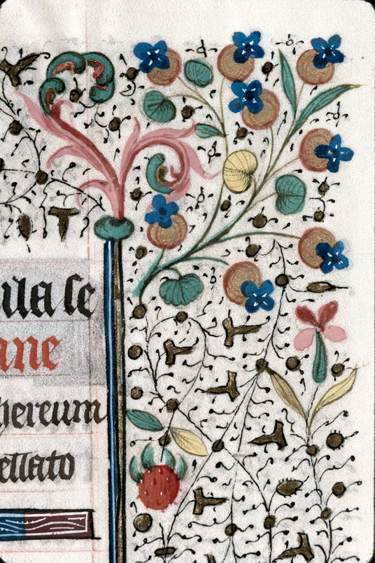 Heures à l'usage de Troyes (?) - Fleurs