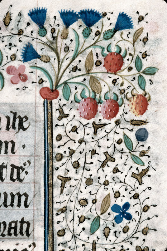 Heures à l'usage de Troyes (?) - Fleurs/Fraises