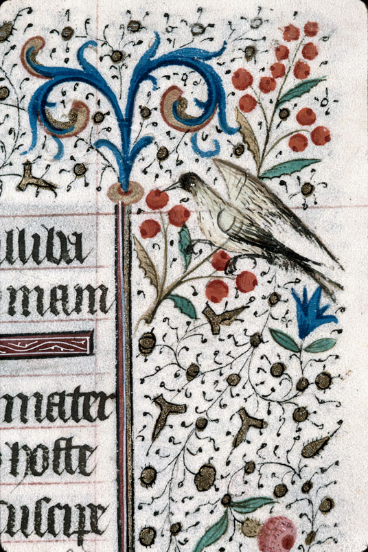 Heures à l'usage de Troyes (?) - Oiseau et fleurs