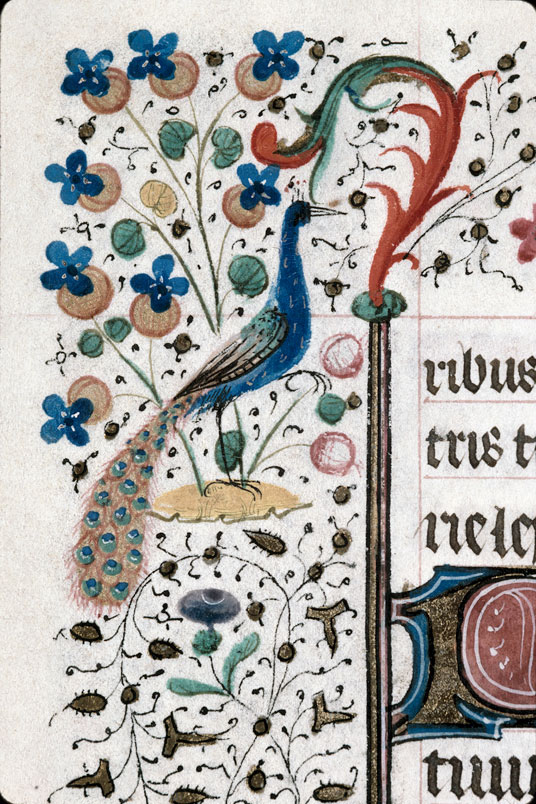 Heures à l'usage de Troyes (?) - Paon