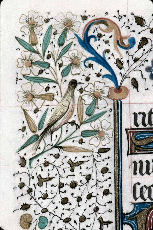 Heures à l'usage de Troyes (?) - Oiseau et fleurs
