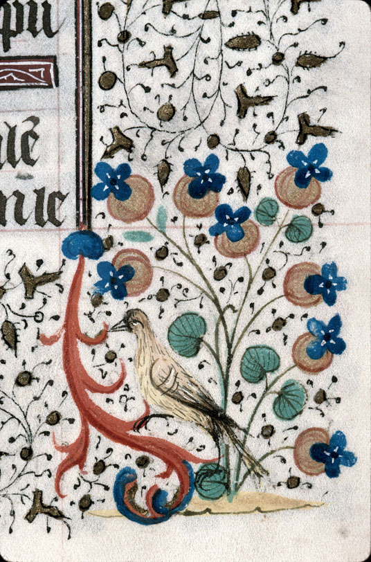 Heures à l'usage de Troyes (?) - Oiseau et fleurs