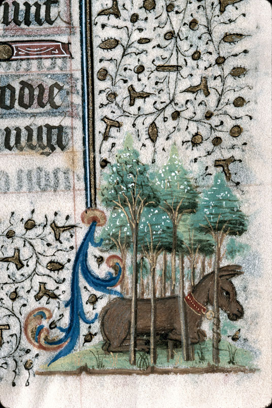 Heures à l'usage de Troyes (?) - Ane attaché dans un bois