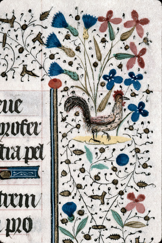 Heures à l'usage de Troyes (?) - Coq