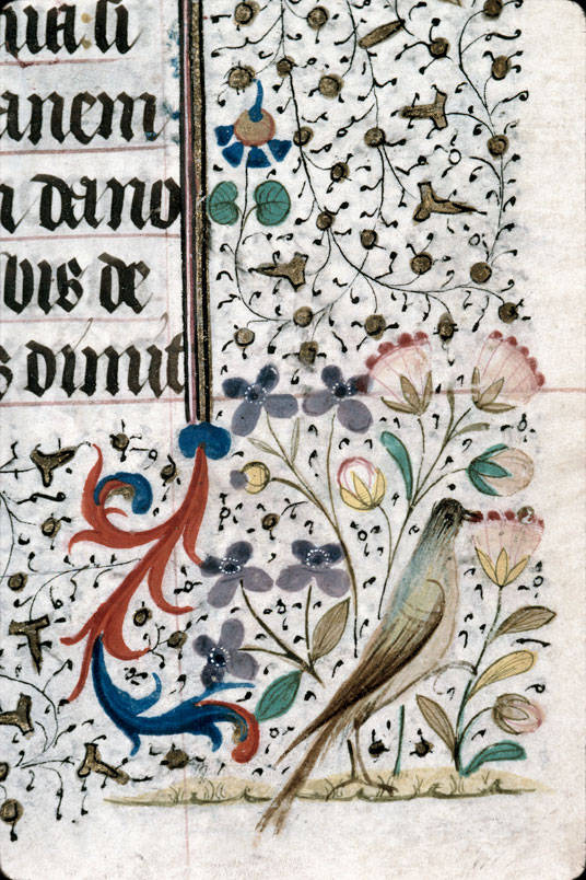 Heures à l'usage de Troyes (?) - Oiseau et fleurs