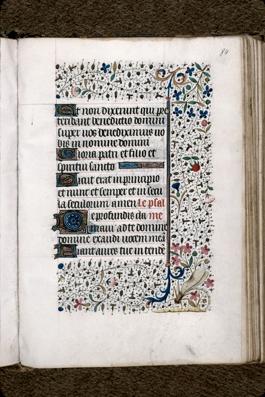Heures à l'usage de Troyes (?) - Libellule_1