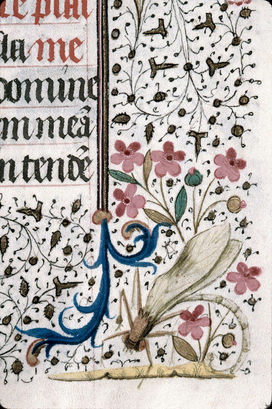 Heures à l'usage de Troyes (?) - Libellule