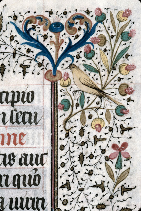 Heures à l'usage de Troyes (?) - Oiseau et fleurs