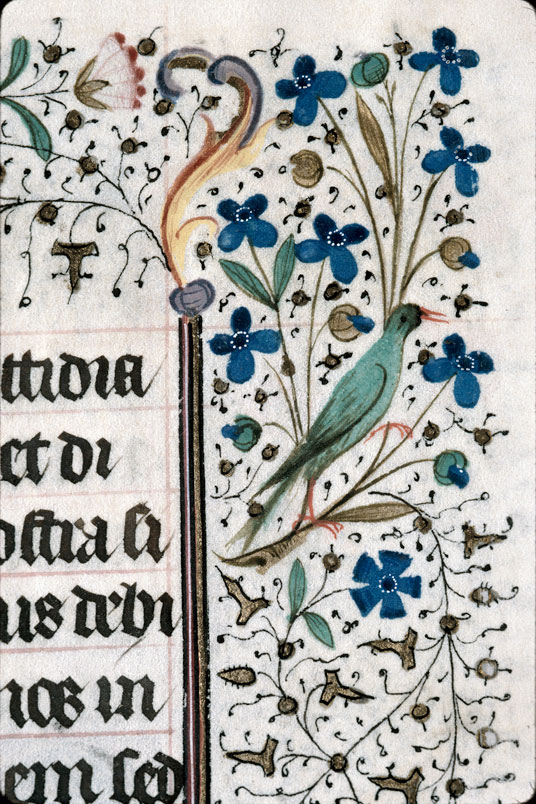 Heures à l'usage de Troyes (?) - Oiseau et fleurs