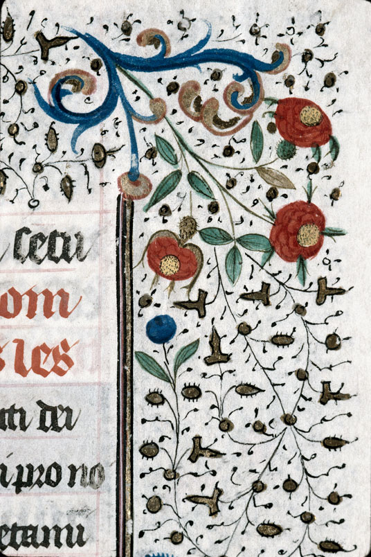 Heures à l'usage de Troyes (?) - Fleurs