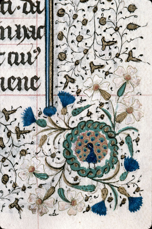 Heures à l'usage de Troyes (?) - Paon faisant la roue