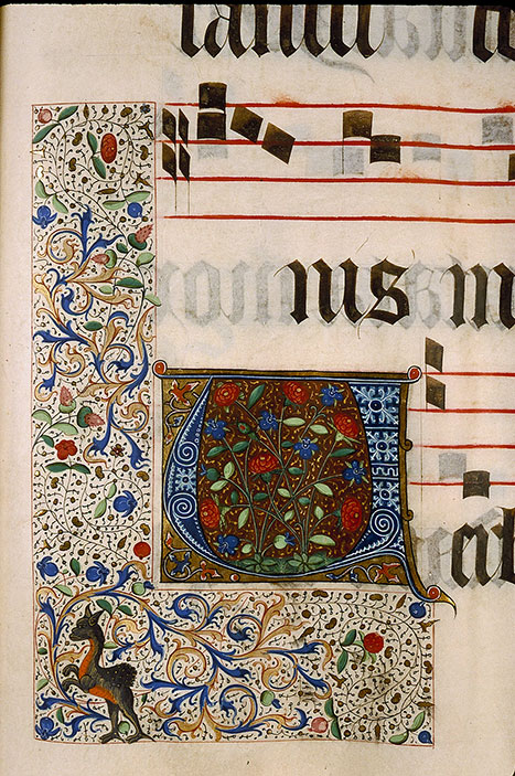 Graduel à l'usage de la cathédrale du Mans - Initiale ornée