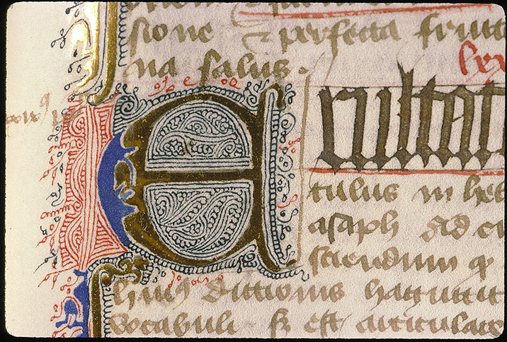 Postilla in Bibliam - Initiale filigranée