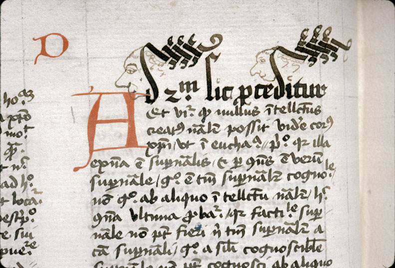 Sententiae - Têtes d'hommes