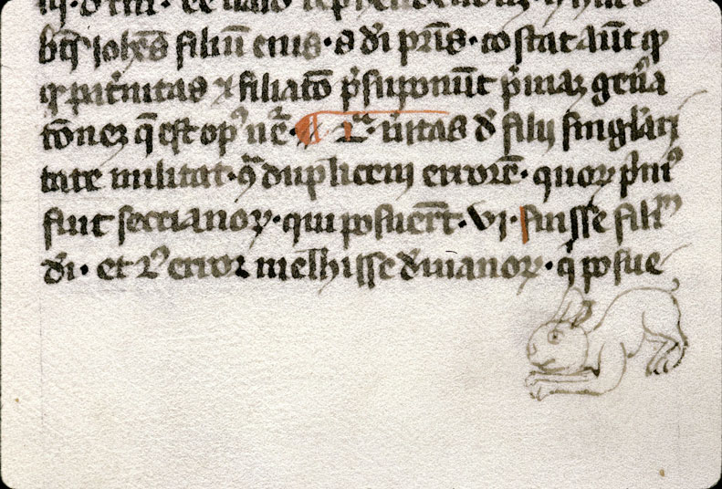 Opuscula theologica - Lapin