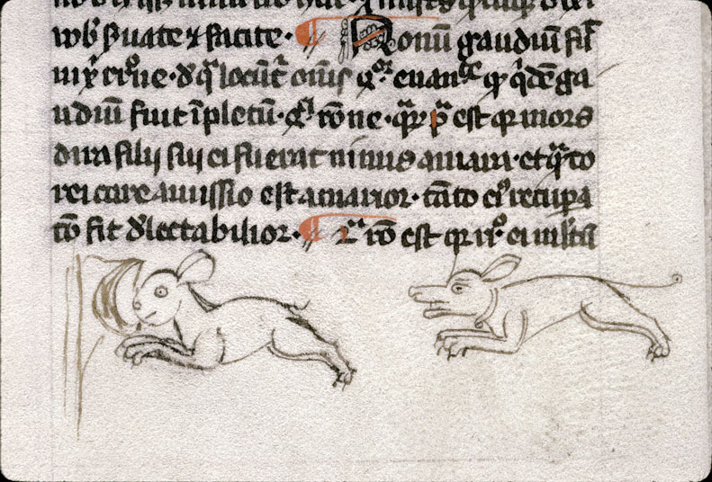 Opuscula theologica - Chien poursuivant un lapin
