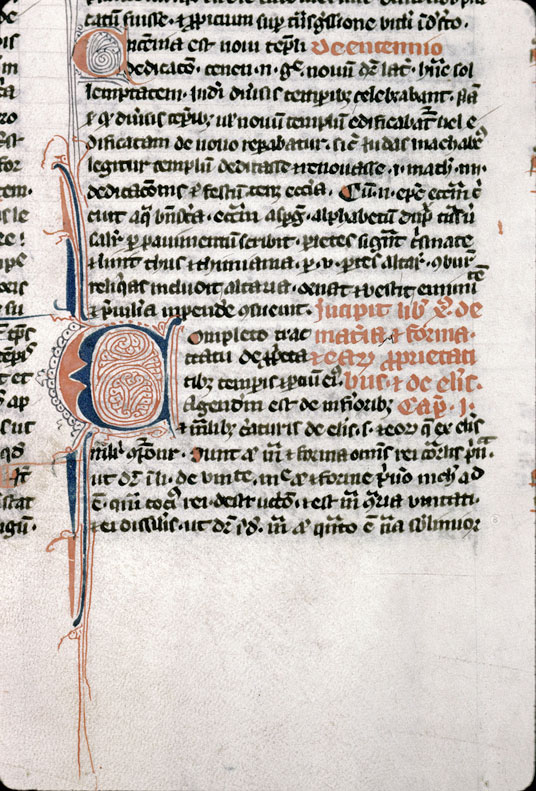 Proprietatibus rerum (De) - Initiale filigranée