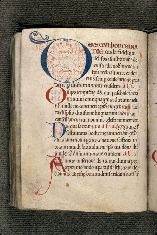 Collectaire à l'usage de l'abbaye de Jumièges - Initiales filigranées_0