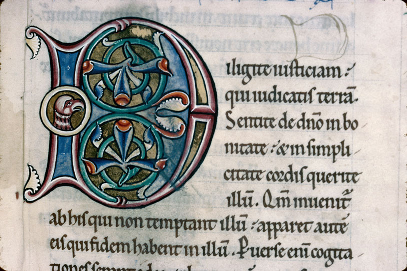 Bible - Tête d'oiseau