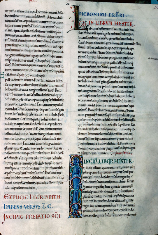 Bible - Fauve dans des végétaux_1