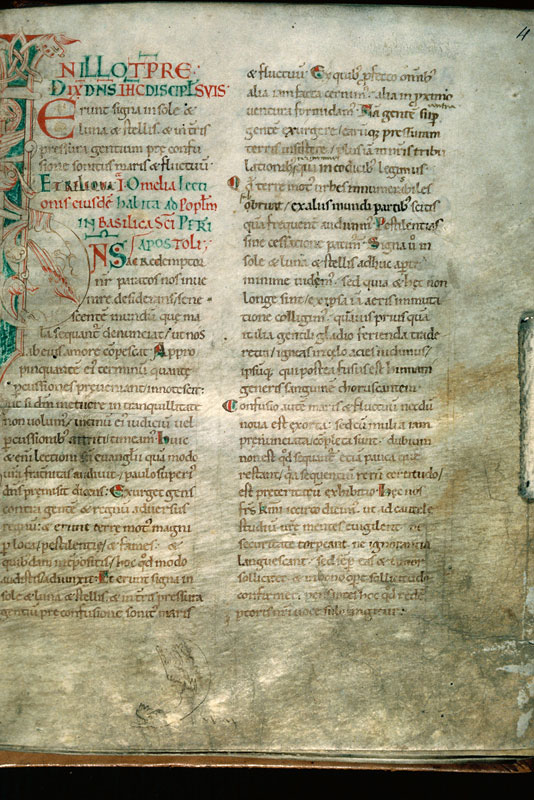 Homiliae in Evangelia - Hybride zoomorphe_0