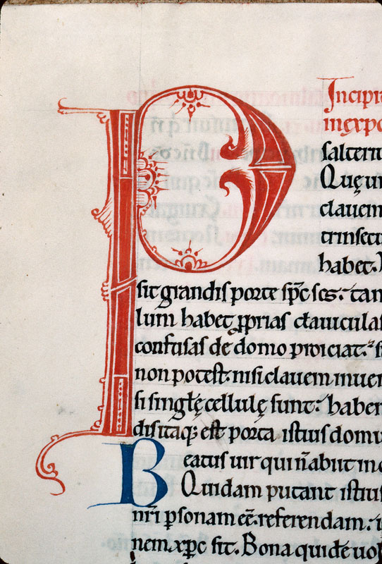 Breviarium in Psalmos - Initiale de couleur ornée