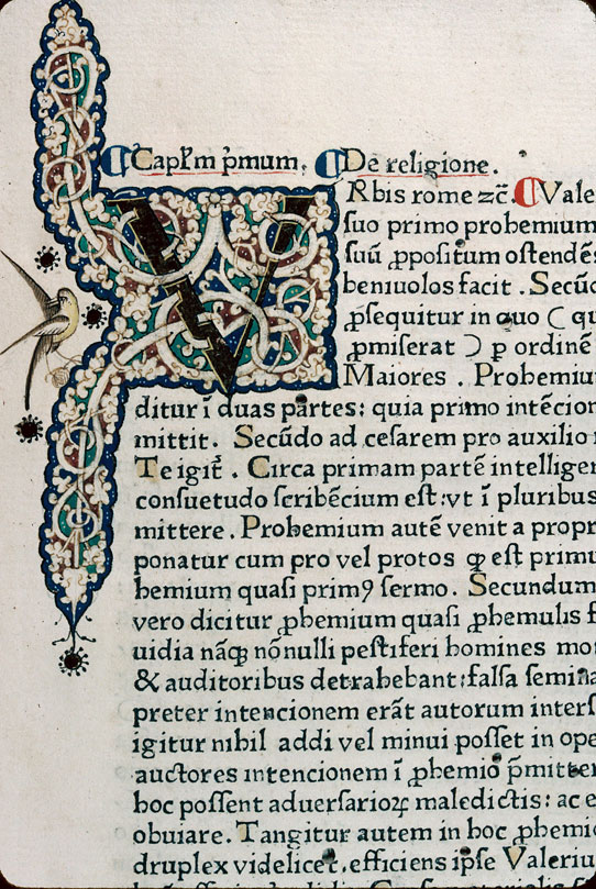  - Oiseau