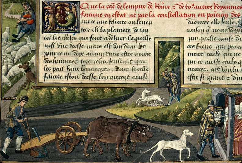 Cité de Dieu - Romulus et Rémus nourris par une louve et recueillis par Faustulus