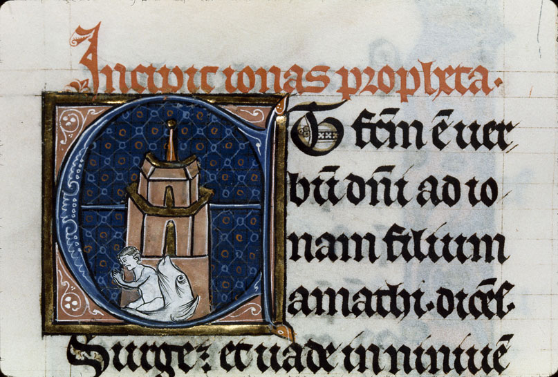 Bible - Jonas rejeté par le poisson devant Ninive_0