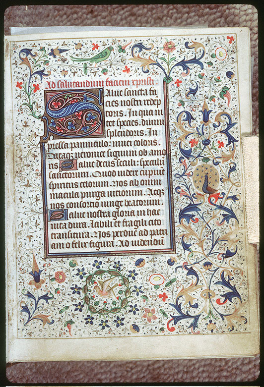 Heures à l'usage de Rome - Page décorée