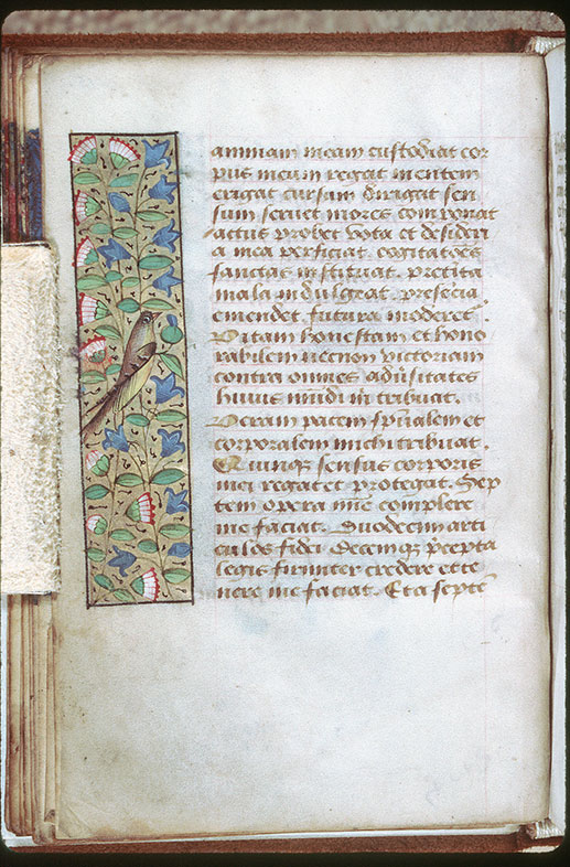 Heures - Oiseau et fleurs