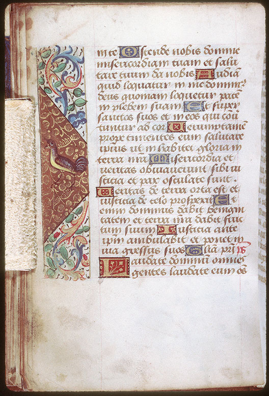Heures - Oiseau
