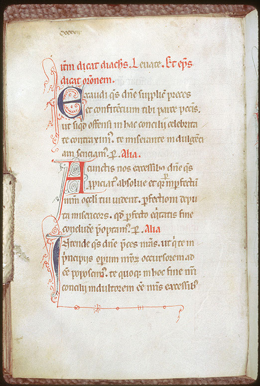 Pontifical - Initiales filigranées