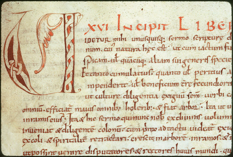 Homiliae in Testamentum Vetus - Initiale ornée
