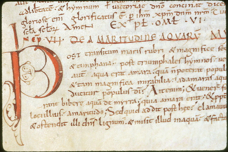 Homiliae in Testamentum Vetus - Tête d'homme