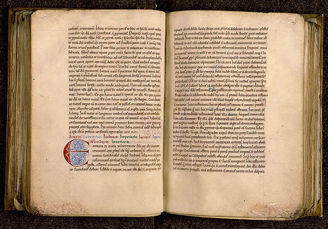 Recueil patristique - Initiale de couleur ornée_1