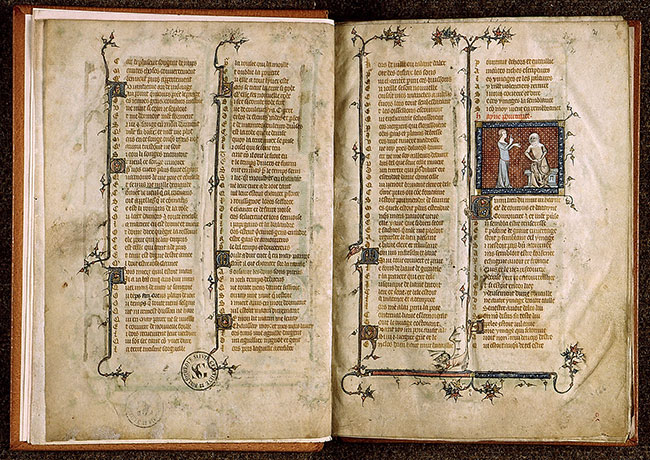 Roman de la Rose - Haine_1