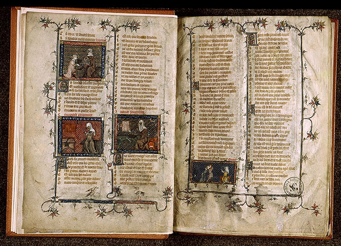 Roman de la Rose - Vilenie_1