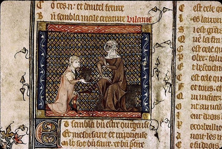 Roman de la Rose - Vilenie