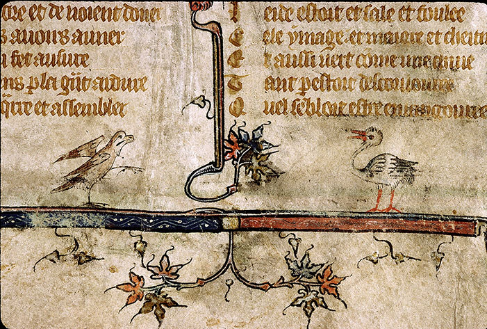 Roman de la Rose - Pages décorées