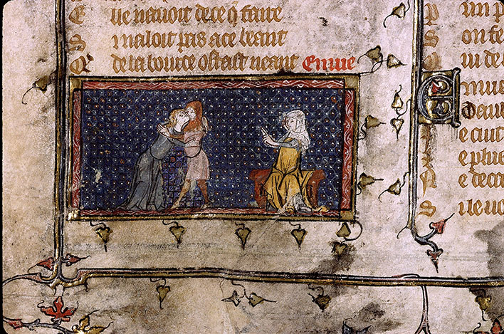 Roman de la Rose - Envie