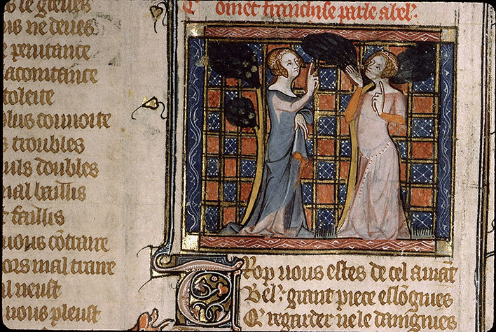 Roman de la Rose - Franchise et Bel Accueil