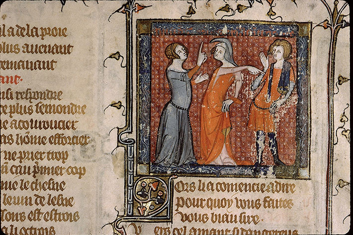Roman de la Rose - Vénus intercédant auprès de Bel Accueil en faveur de l'Amant