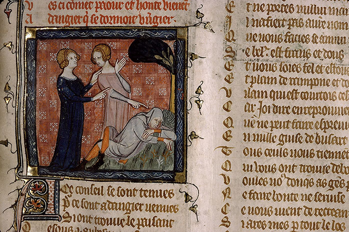 Roman de la Rose - Honte et Peur réveillant Danger