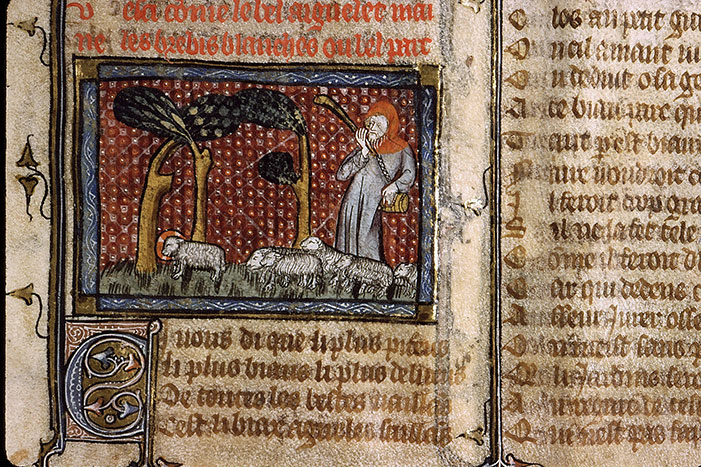 Roman de la Rose - Parc de l'agneau (Le)_0