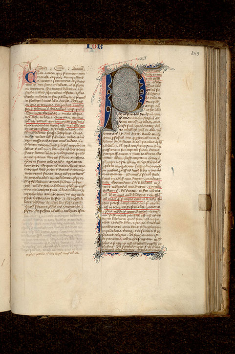 Postilla in Bibliam - Page décorée