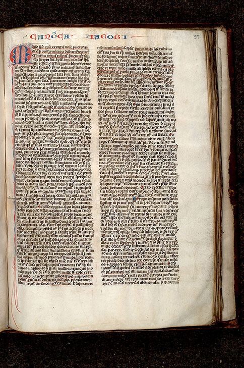 Postilla in Bibliam - Initiale filigranée