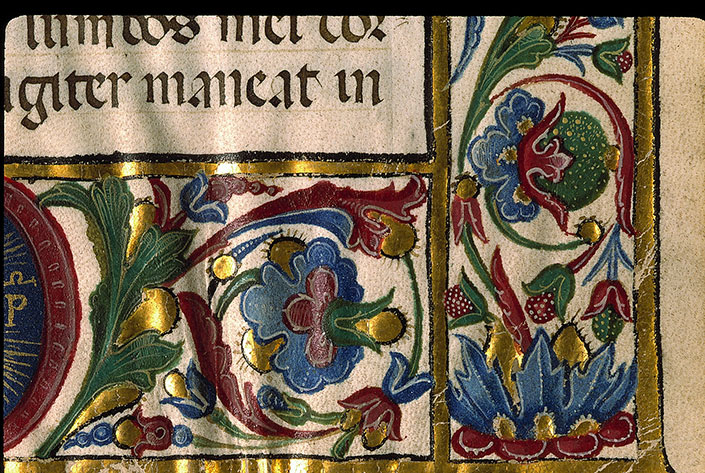 Pontifical romain à l'usage de Lodi (fragment) - Page décorée, avec armes de Carlo Pallavicini