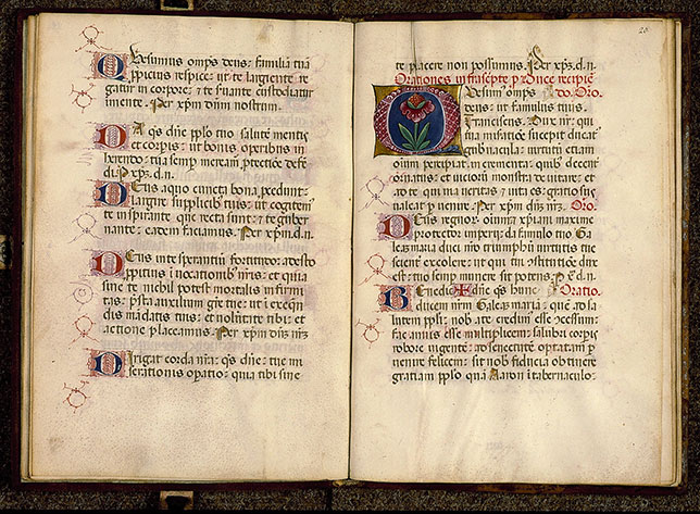Pontifical romain à l'usage de Lodi (fragment) - Plante (à préciser)_1