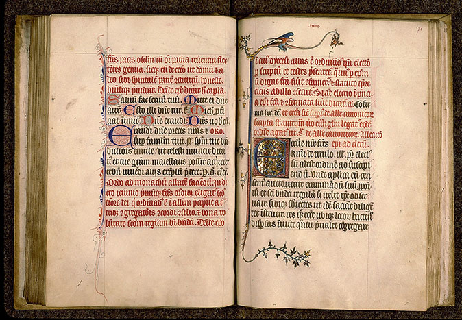Pontifical à l'usage de Senlis - Hybride zoomorphe_1